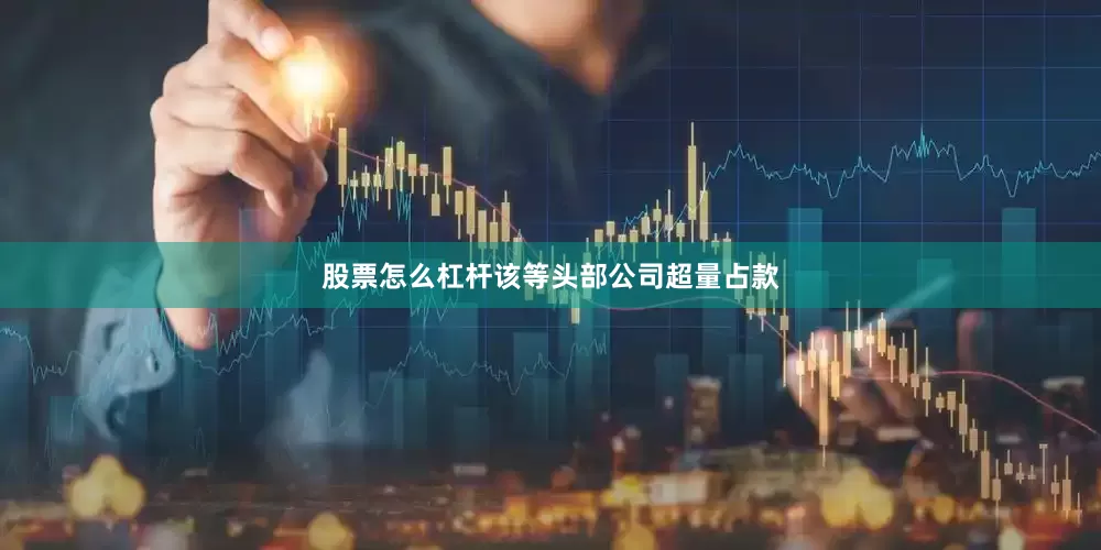 股票怎么杠杆该等头部公司超量占款