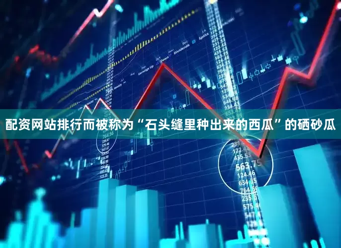 配资网站排行而被称为“石头缝里种出来的西瓜”的硒砂瓜