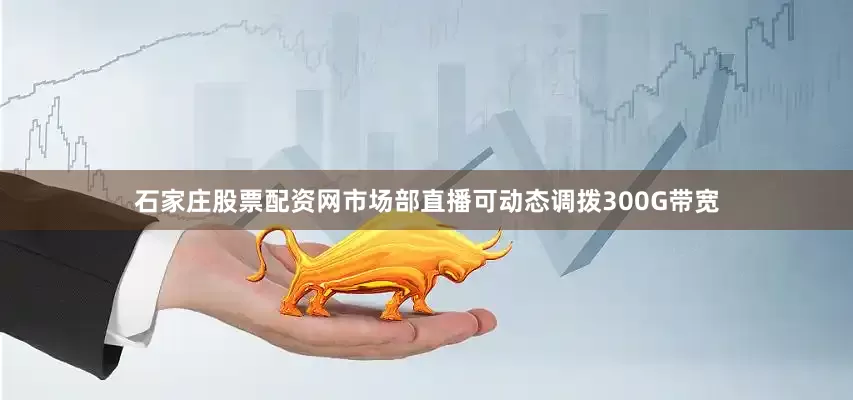石家庄股票配资网市场部直播可动态调拨300G带宽