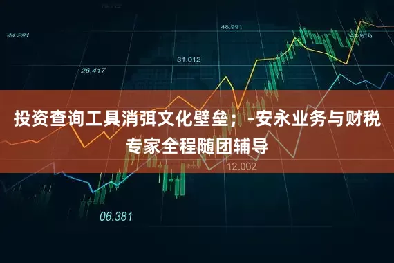 投资查询工具消弭文化壁垒；‑安永业务与财税专家全程随团辅导