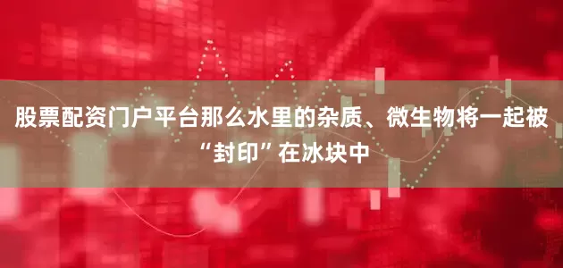 股票配资门户平台那么水里的杂质、微生物将一起被“封印”在冰块中