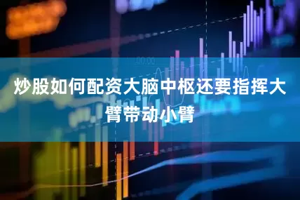 炒股如何配资大脑中枢还要指挥大臂带动小臂