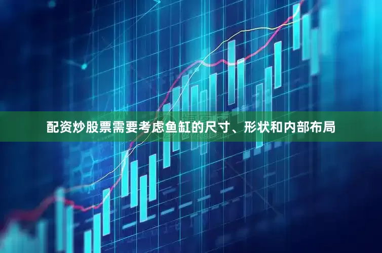 配资炒股票需要考虑鱼缸的尺寸、形状和内部布局